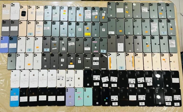 488191578 1145444210927733 3599431162081349890 n 768x468