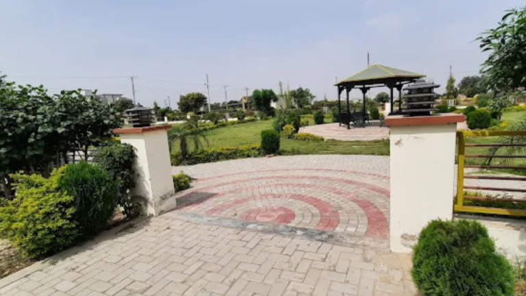 artch villay  768x432