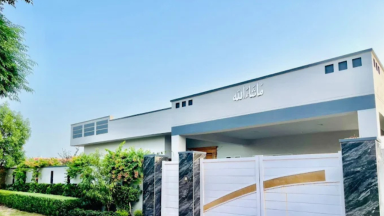 sm toba tek singh  768x432